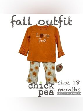 Chick Pea Baby Girl Fall Long Sleeve and Legging Pant Set Size 18 Months